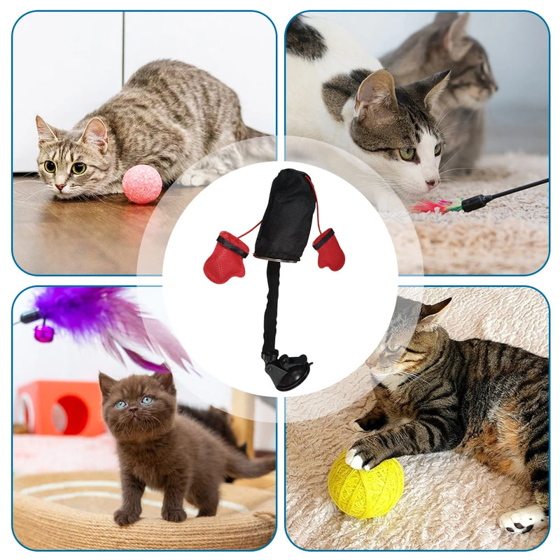 Brinquedos para gatos com luvas de boxe