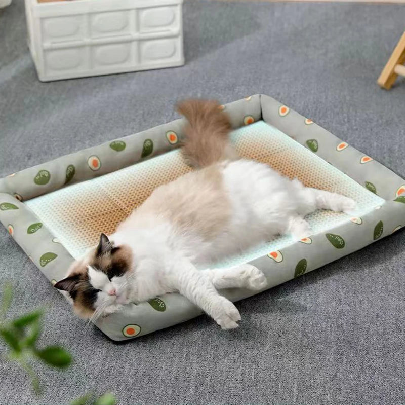 Mini cama de algodão para gatos e cães