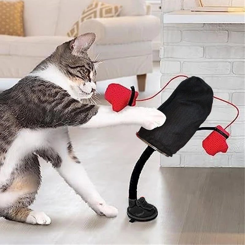 Brinquedos para gatos com luvas de boxe