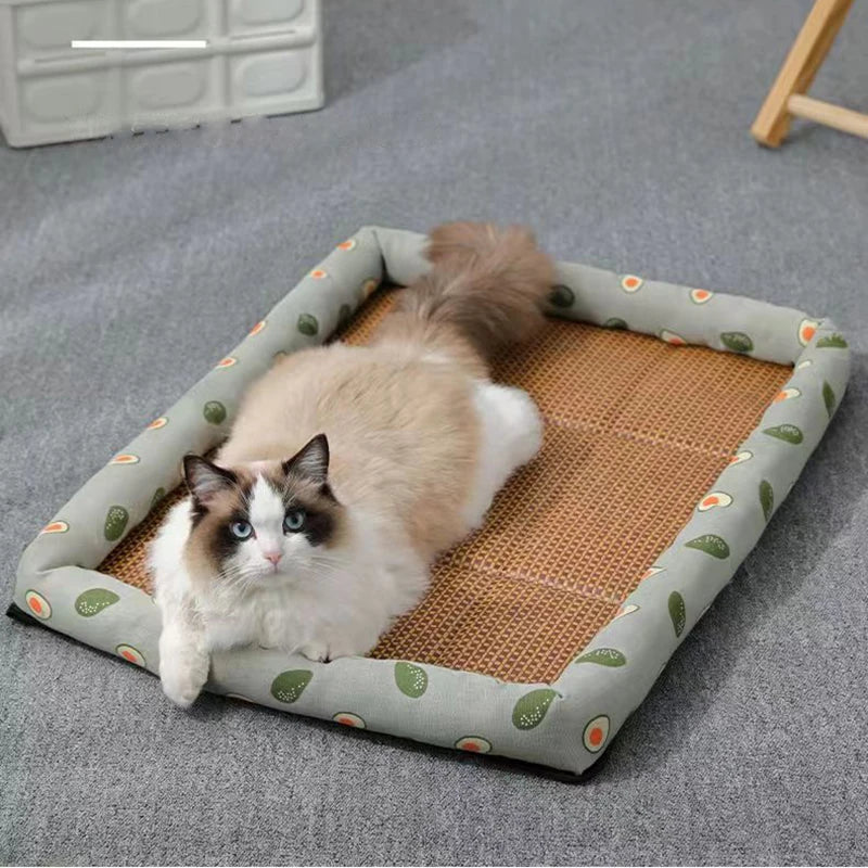 Mini cama de algodão para gatos e cães