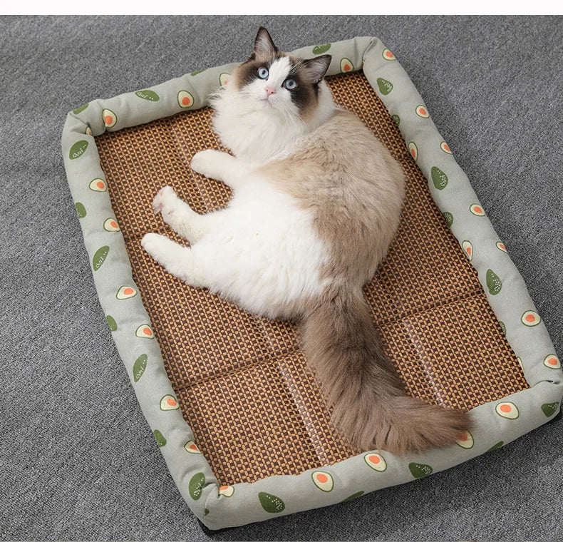 Mini cama de algodão para gatos e cães